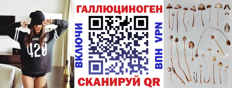 Псилоцибиновые грибы GOLDEN TEACHER блэк спрут tor Волхов где купить
