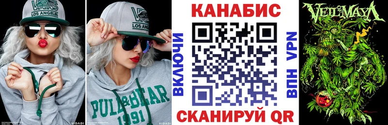 Конопля план  продажа наркотиков  blacksprut вход  Волхов 
